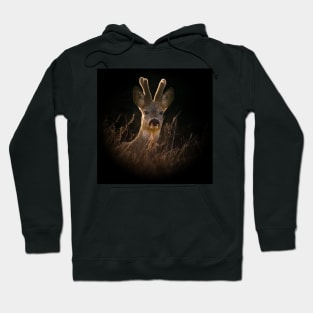 Roebuck Hoodie